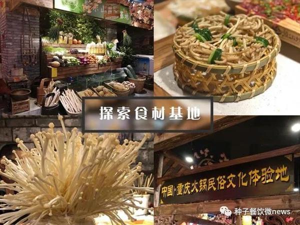 微信图片_20190705171840.jpg